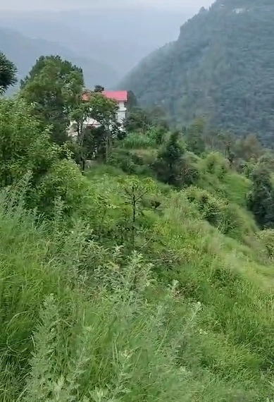 348X+R74, Shimla, Shoghi Bypass, Himachal Pradesh 171219, India