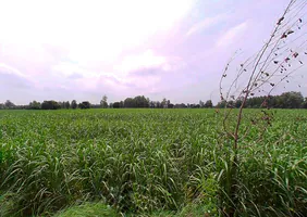 Modinagar, Uttar Pradesh, India preview 2