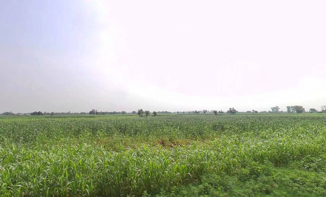 Paharsar, Rajasthan 321602, India