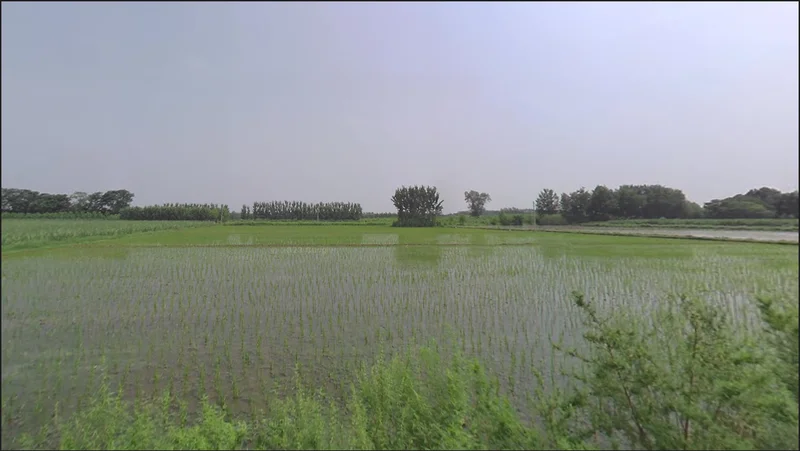 Moga, Punjab, India preview 3