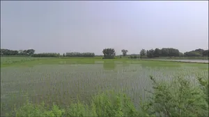 Moga, Punjab, India preview 3