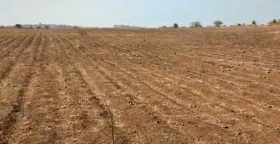82H8+X5G, Ratlam, Madhya Pradesh 457001, India preview 3