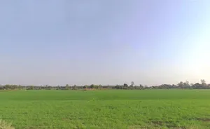 Kodiya, Madhya Pradesh 462044, India preview 2
