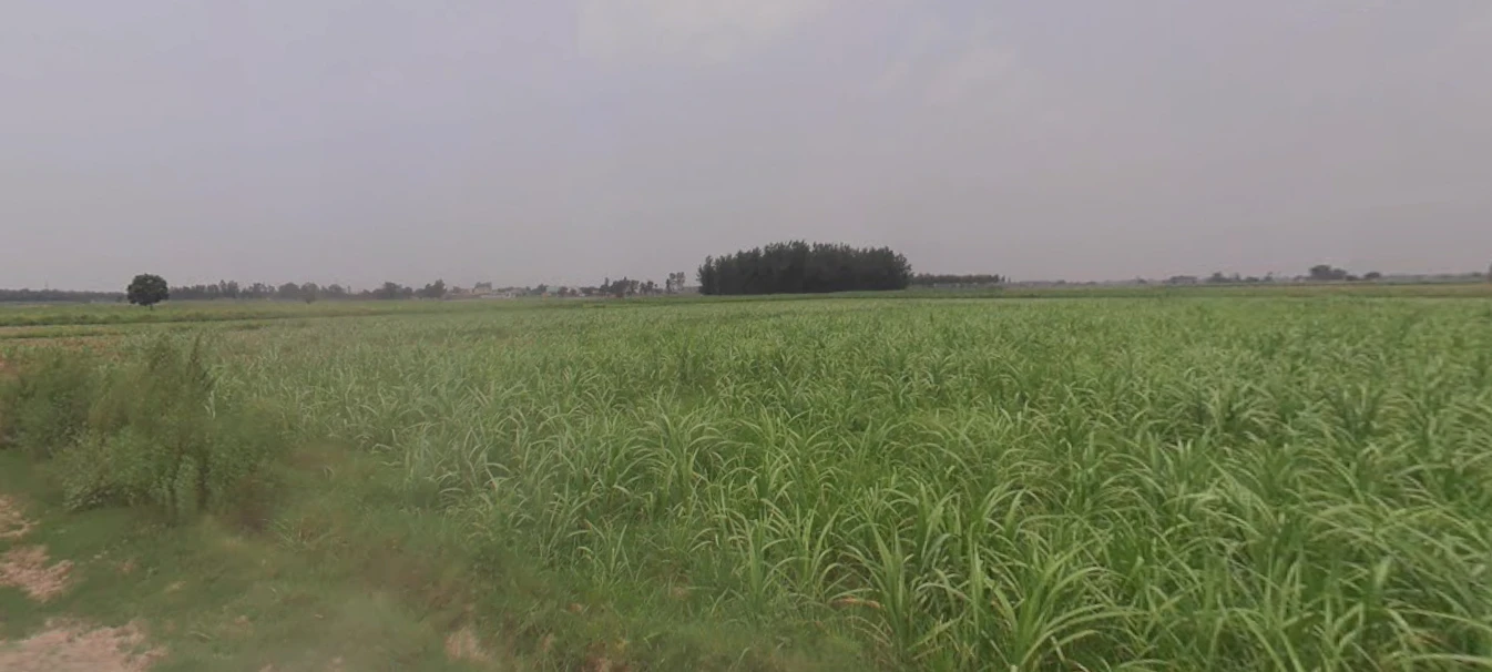 Kharar, Punjab 140301, India