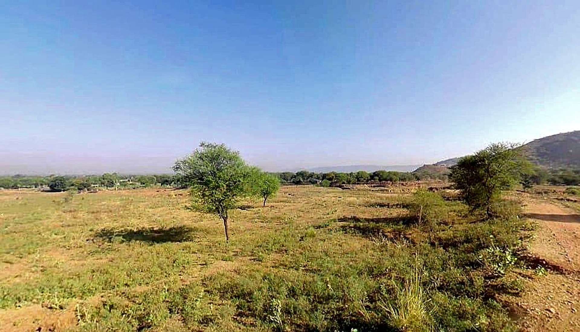 JC9Q+8Q9, Chainpura at Bharatpura, Rajasthan, India