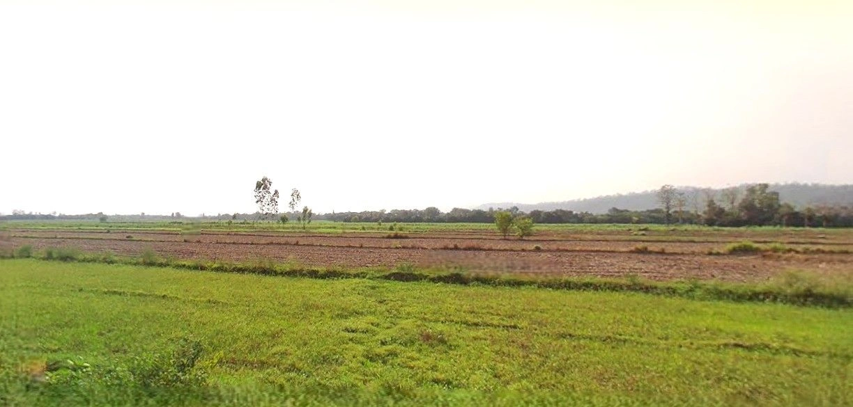 Bazpur, Uttarakhand 262401, India preview 2