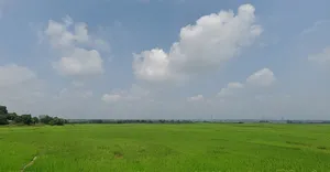 Katamkuli, Jharkhand, India preview 2