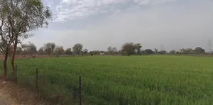 Amod, Gujarat 392110, India preview 3