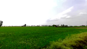 Sanaur Rd, Sunny Enclave, Patiala, Punjab, India preview 2