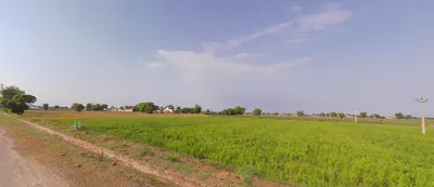 Chautala, Haryana 125101, India preview 3