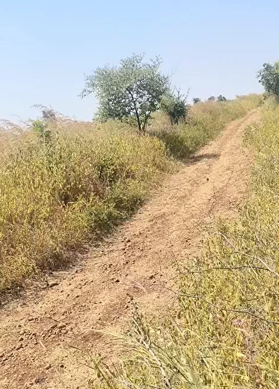Dahigaon, Amravati, Maharashtra, India