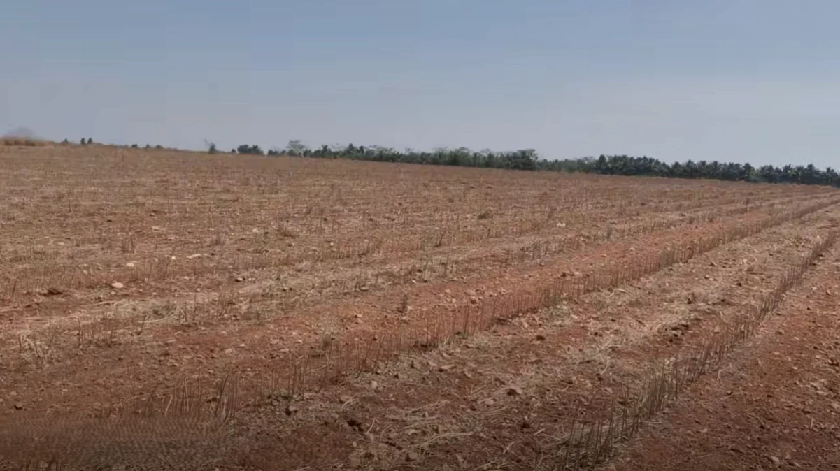 Roddam, Andhra Pradesh 515123, India