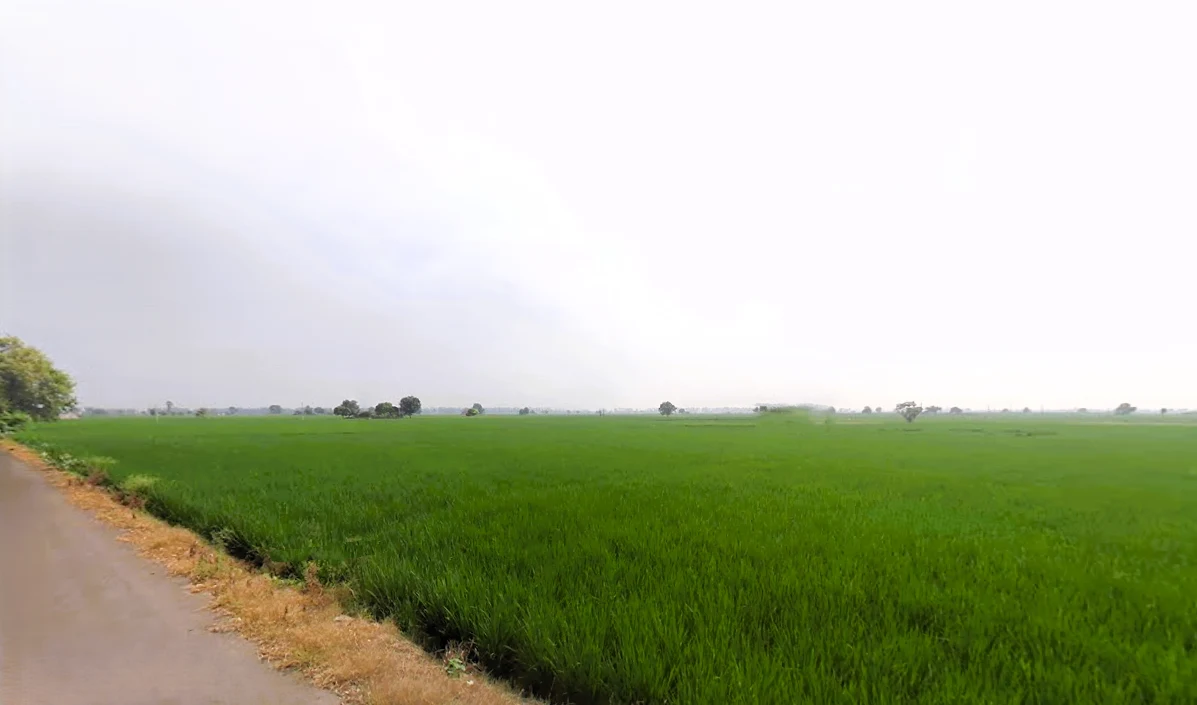 Pharal, Haryana 136021, India