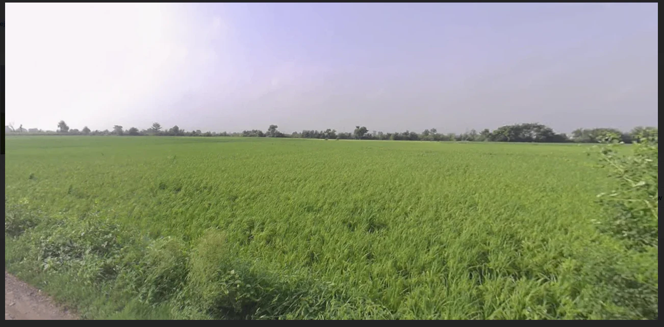 Solda - Jewer Rd, Jewar, Uttar Pradesh, India