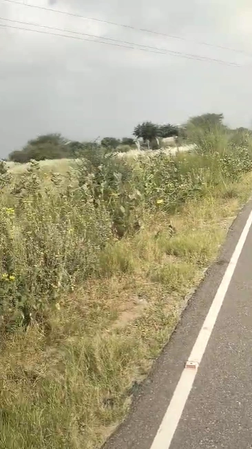 8G89+WVJ, Jhunjhunu, Khudania, Rajasthan, India