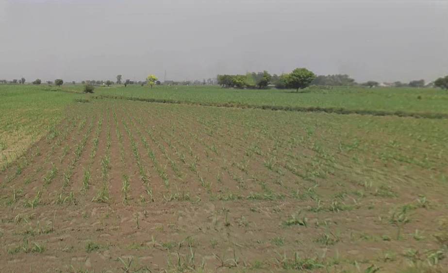 Daurala, Uttar Pradesh 250221, India