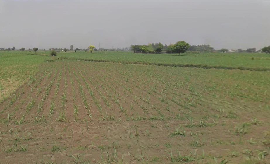 Daurala, Uttar Pradesh 250221, India