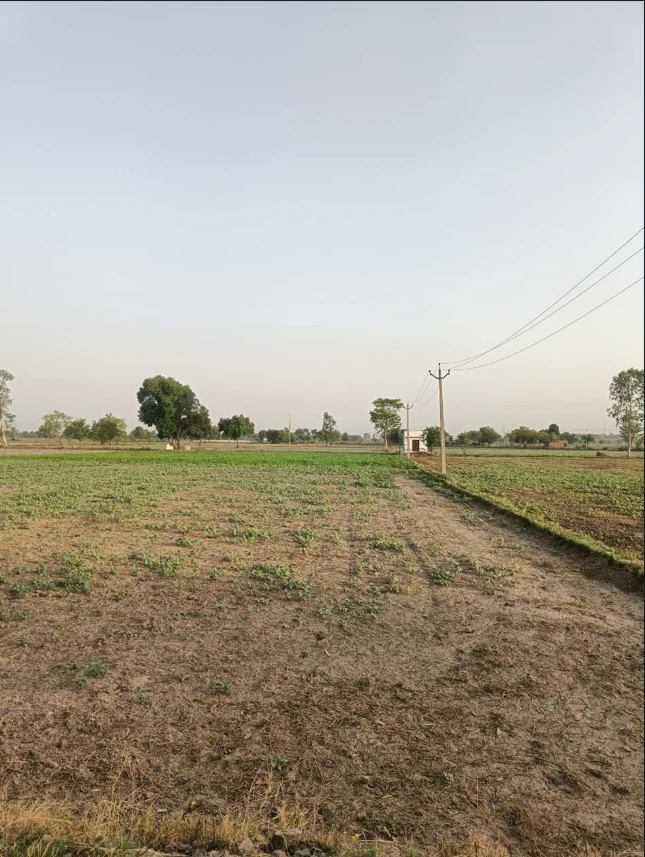 Koka, Haryana 123035, India