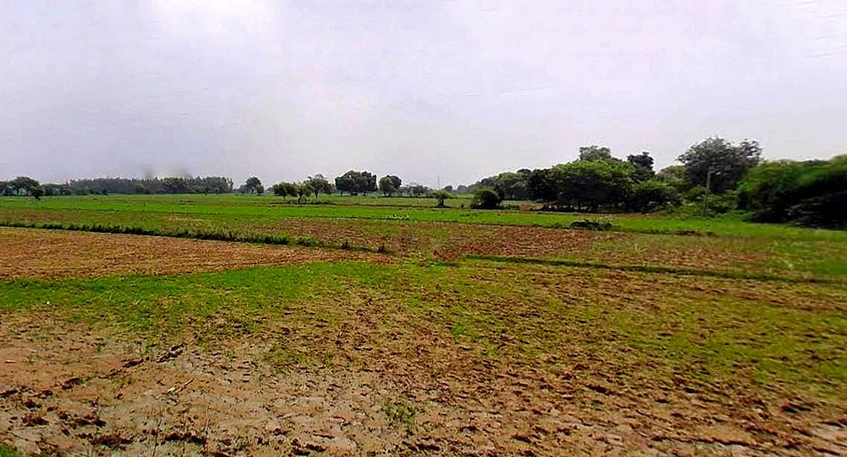 Barsana, Uttar Pradesh 281405, India