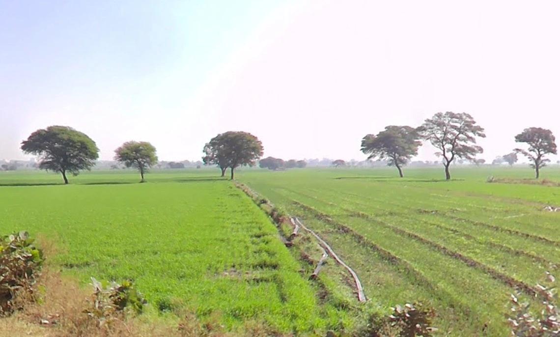 Bhidota Khurd, Madhya Pradesh 454001, India