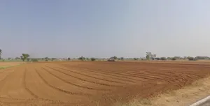 Traj, Gujarat 387530, India preview 2