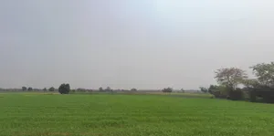 Valotri, Gujarat 388180, India preview 3