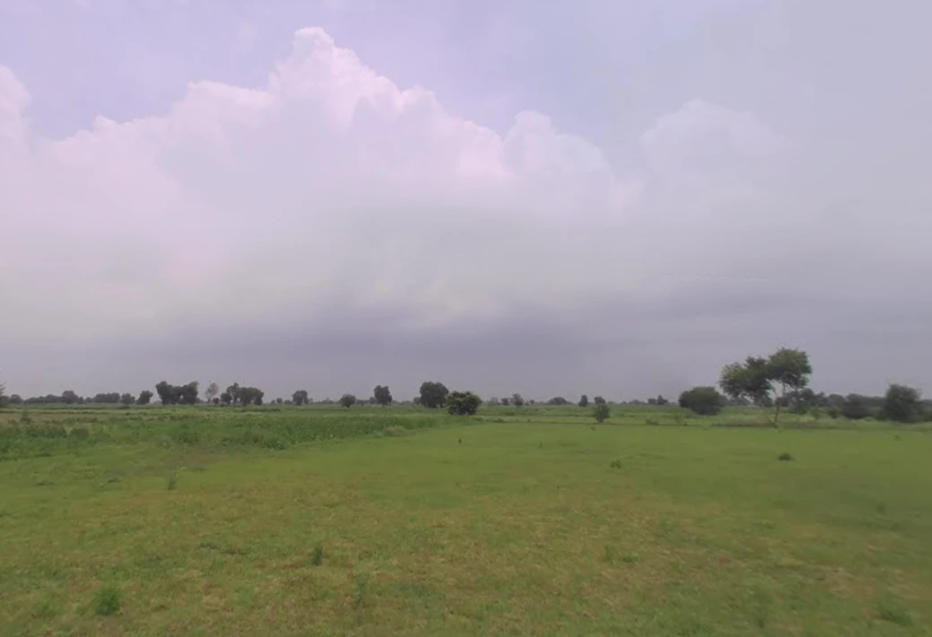 Meham, Haryana 124112, India