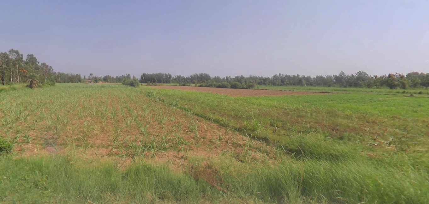 Shyampur, Uttar Pradesh 245101, India