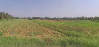 Shyampur, Uttar Pradesh 245101, India preview 3