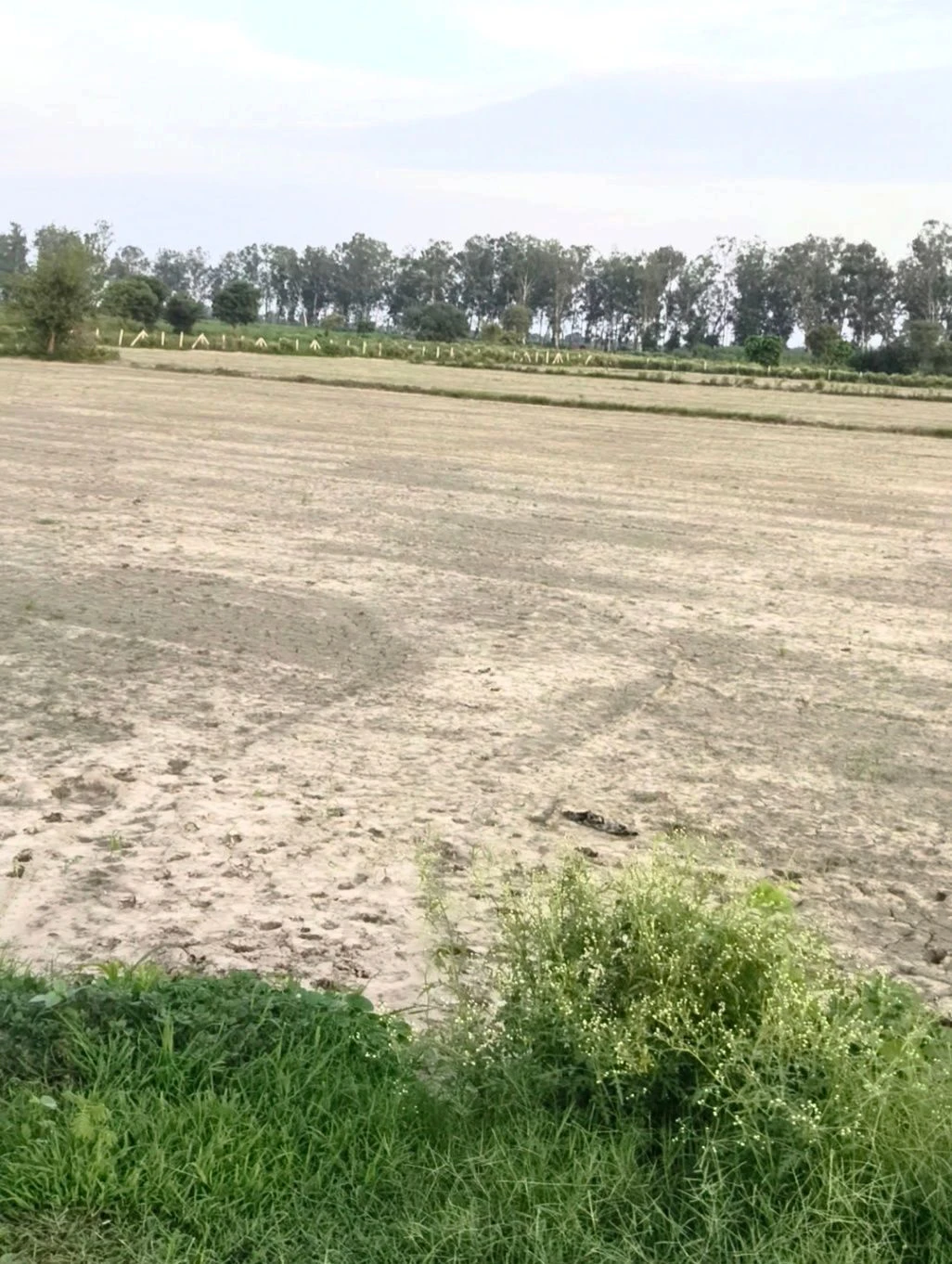 Firozpur Jhirka, Nuh, Haryana 122104, India