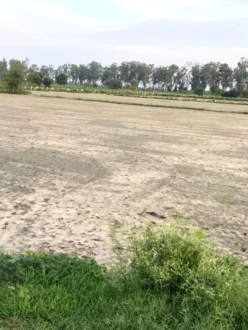 Firozpur Jhirka, Nuh, Haryana 122104, India - Photo 1
