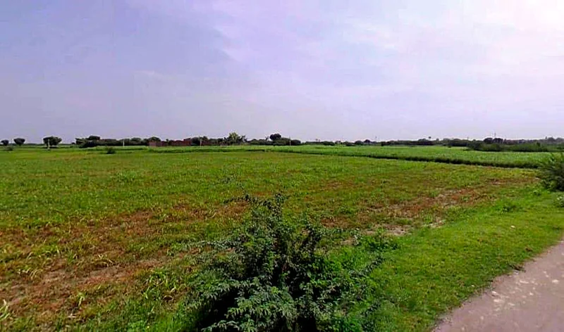 Kekri, Rajasthan 305404, India preview 2