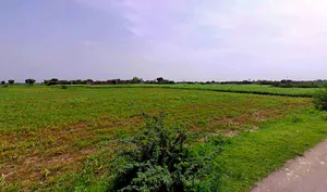 Kekri, Rajasthan 305404, India preview 2
