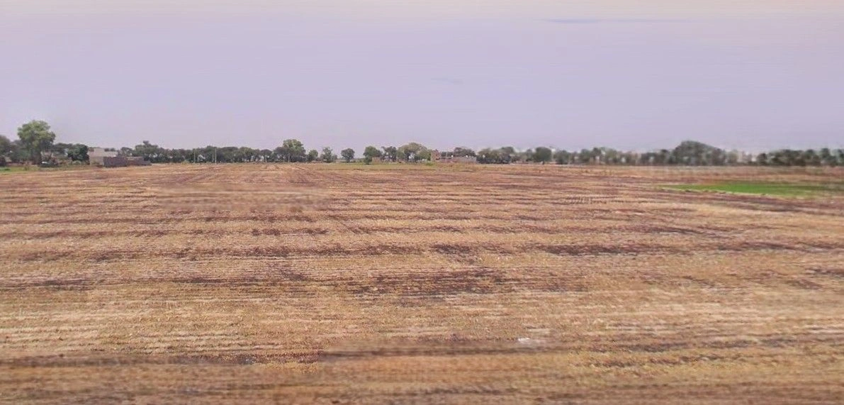 Barnagar, Madhya Pradesh 456771, India