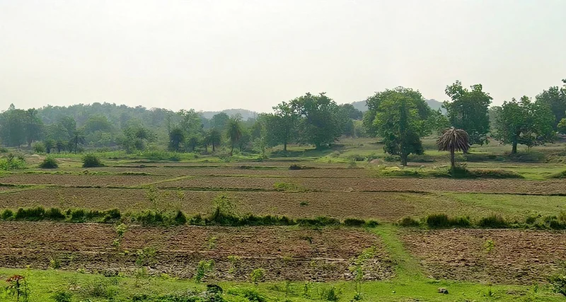 Kumjharia, Odisha 770039, India preview 3