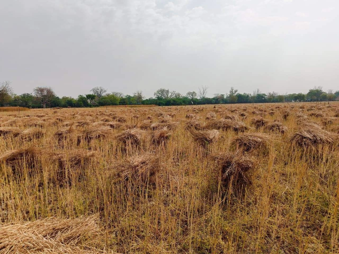 Gharwari, Rajasthan 321201, India