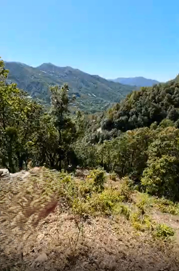 CJWJ+7Q4, Sunkiya, Uttarakhand 263138, India