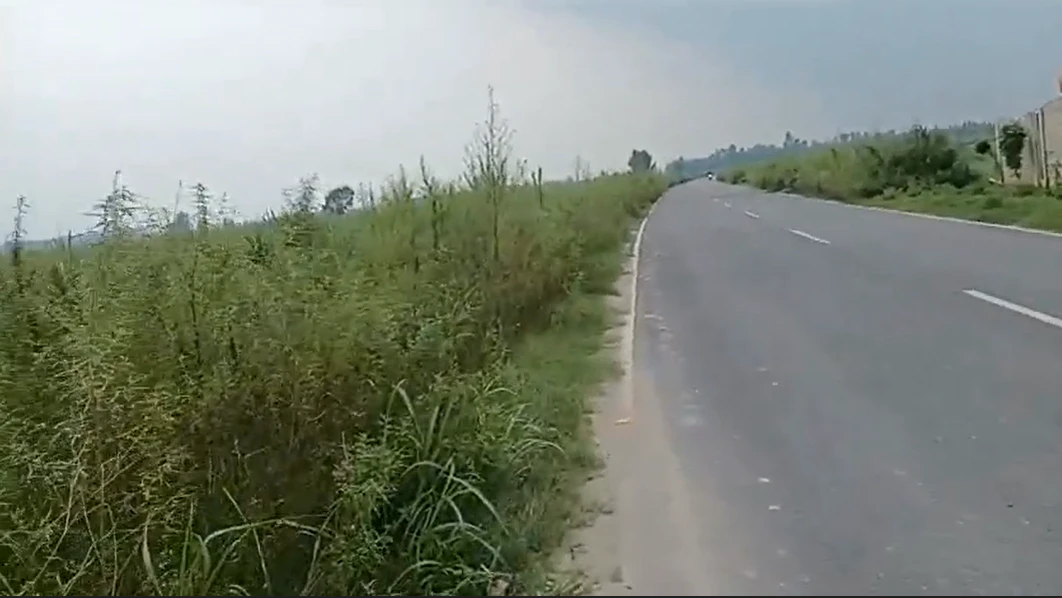 R5CF+8W Moharka, Uttar Pradesh, India