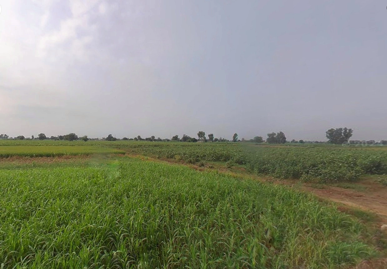 Bhitha Dharampur, Bihar 843320, India