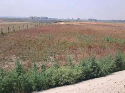M67G+W2 Kachhauli, Uttar Pradesh, India preview 2