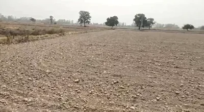 PGJ3+FG Chhata, Mathura, Uttar Pradesh, India preview 3