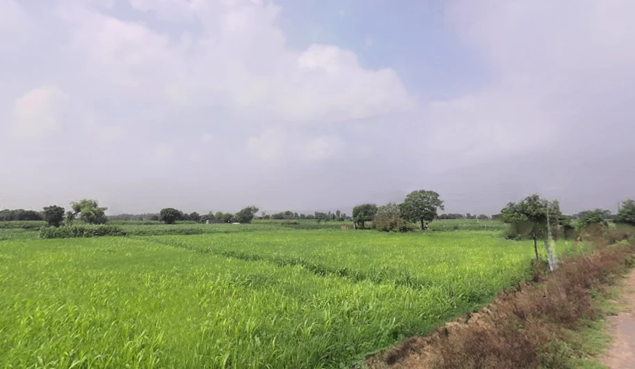 Hisar, Haryana, India