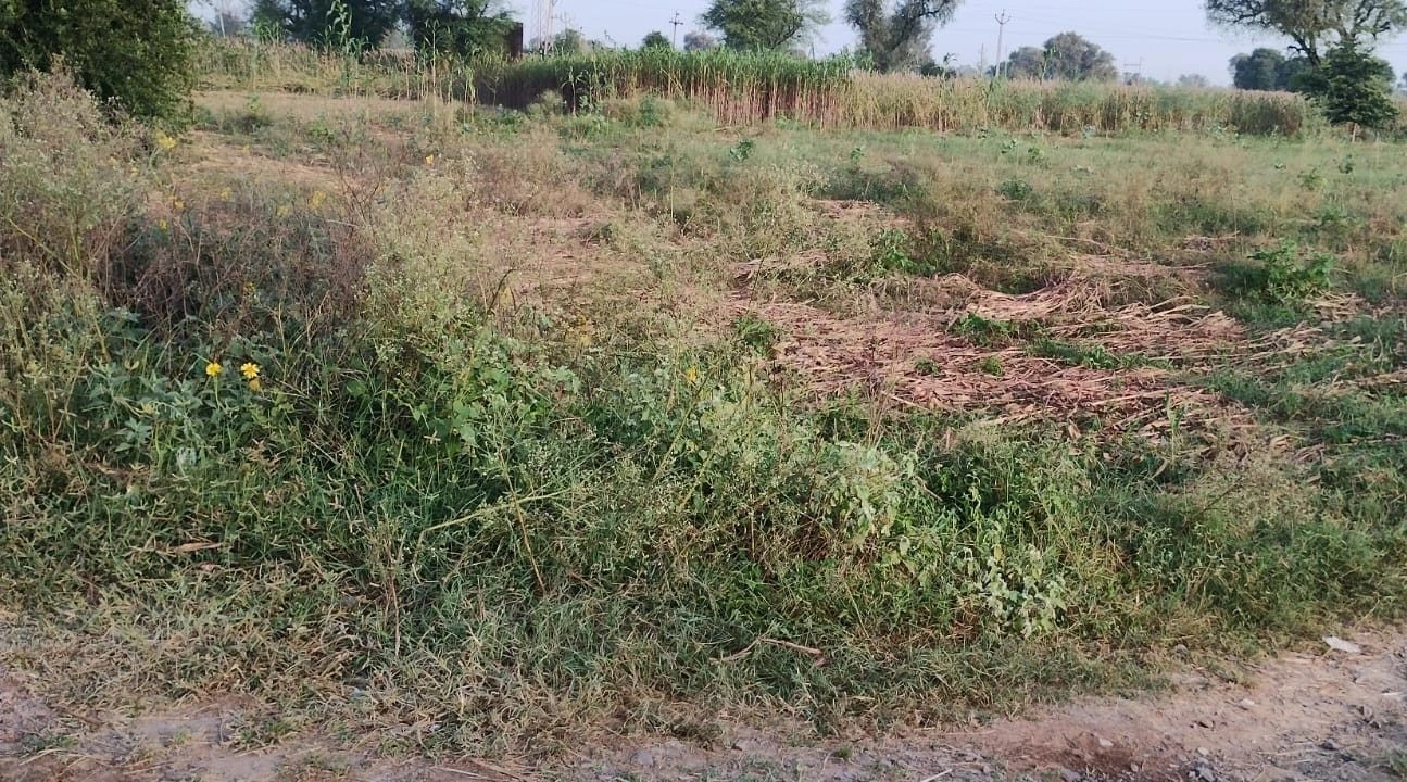 Rajgarh, Rajasthan 301408, India