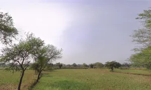 Pipartarai, Chhattisgarh, India preview 3