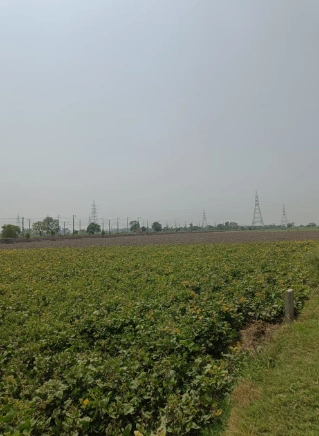 6783+4M Dibai, Uttar Pradesh, India