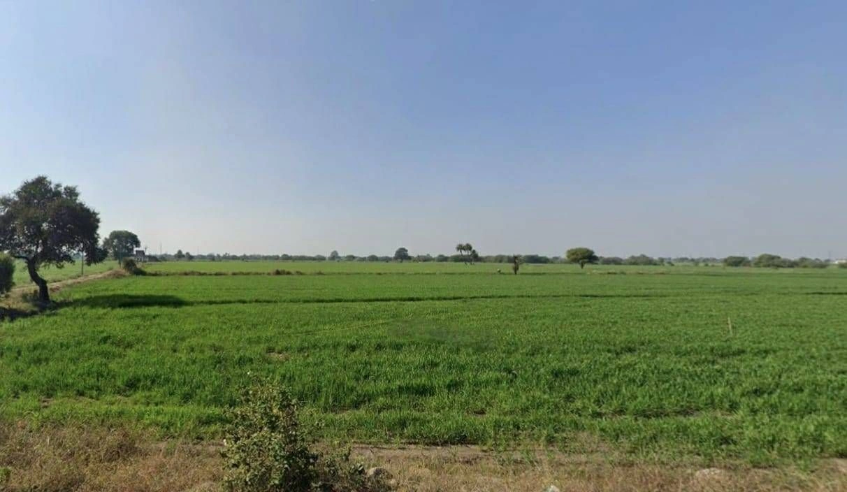 Chonsala, Madhya Pradesh, India