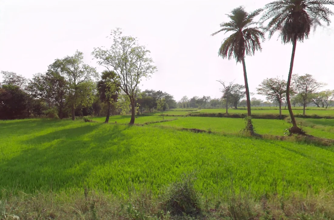 Ataria, Chhattisgarh 491885, India