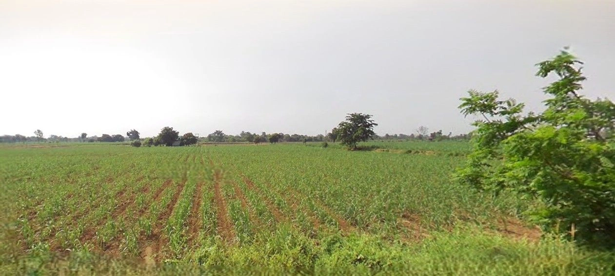 Sikandrabad, Uttar Pradesh 203205, India preview 2