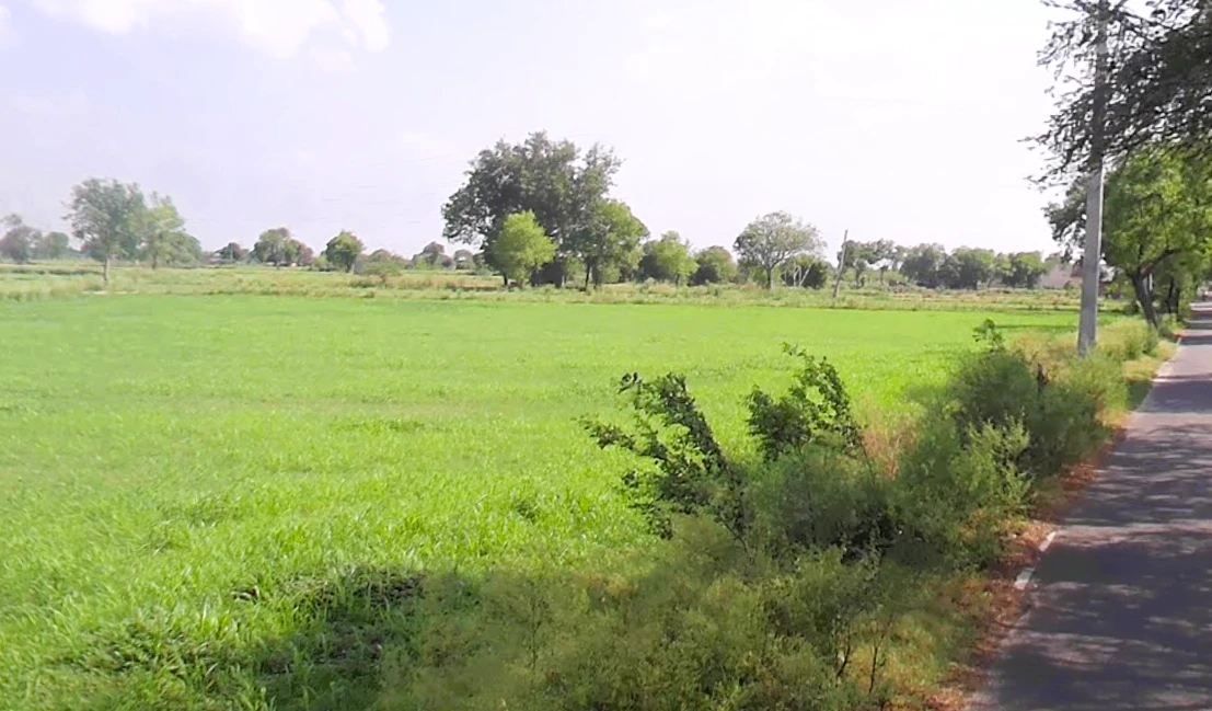 Sector 2 Rd, Housing Board Colony, Palwal, Haryana 121102, India