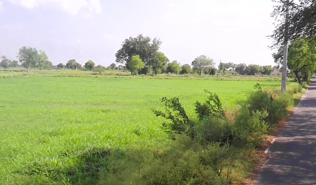 Sector 2 Rd, Housing Board Colony, Palwal, Haryana 121102, India